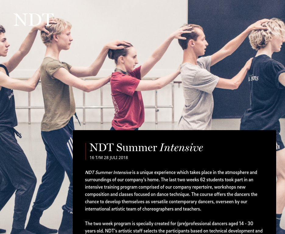 About Summer Intensive NDT Summer Intensive Presentation 2018